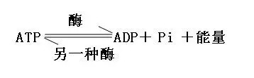 生物会什么因为它们有什么