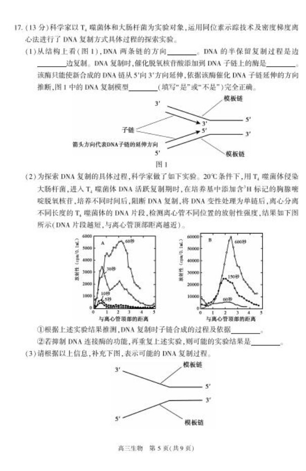 2020北京朝阳高三生物一模试题