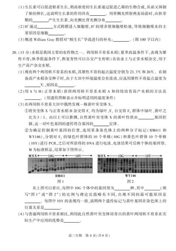 2020北京朝阳高三生物一模试题