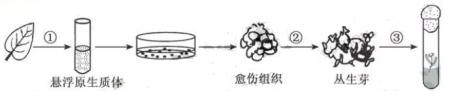 2019年江苏高考生物试题及答案【真题试卷】