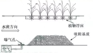 2019年江苏高考生物试题及答案【真题试卷】