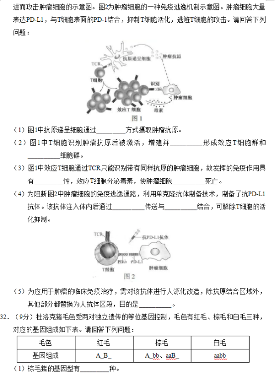 2019年江苏高考生物试题【精校版】