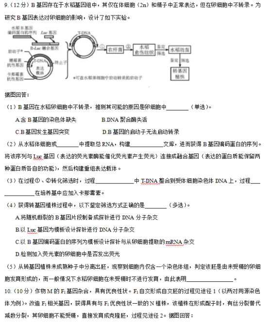 2019年天津高考理综试题【精校版】