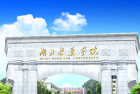 湖北医药学院是双一流大学吗，有哪些双一流学科？