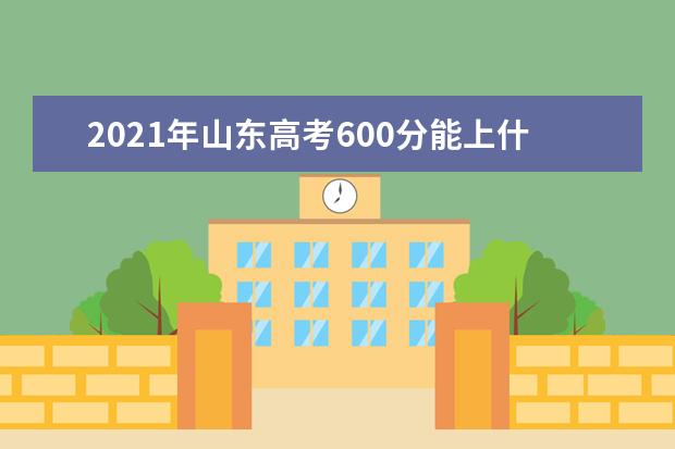 2021年山东高考600分能上什么大学