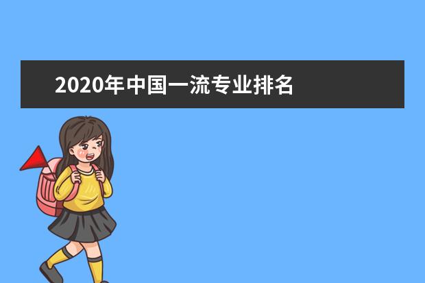 2020年中国一流专业排名