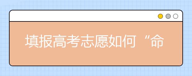 填报高考志愿如何“命中”心仪大学