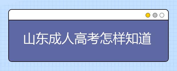 山东成人高考怎样知道自己有没有被录取