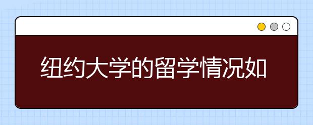 纽约大学的留学情况如何