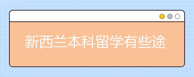 新西兰本科留学有些途径?