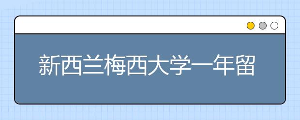 新西兰梅西大学一年留学的费用