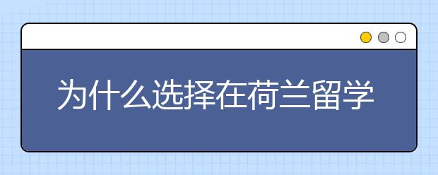 为什么选择在荷兰留学