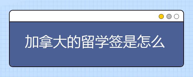 加拿大的留学签是怎么申请的