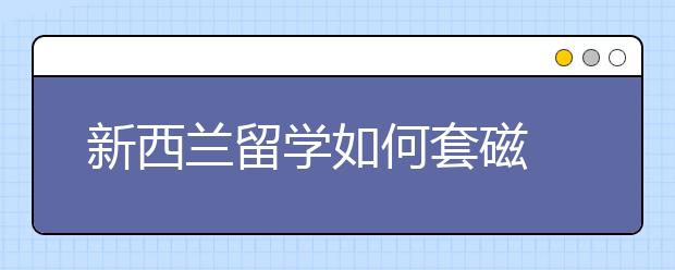 新西兰留学如何套磁