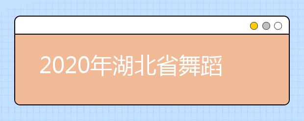 2020年湖北省舞蹈学类统考报考须知