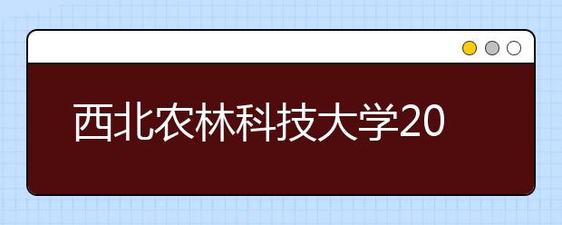 西北农林科技大学2020年美术类招生简章