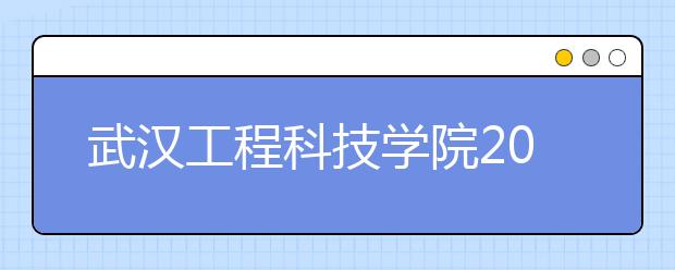 武汉工程科技学院2019年招生章程（含艺术类）