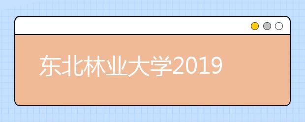 东北林业大学2019年艺术类招生简章