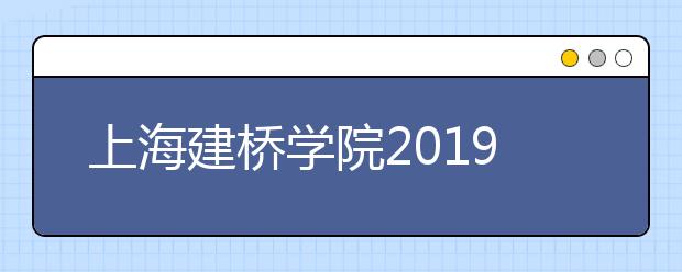 上海建桥学院2019年美术类本科专业招生计划