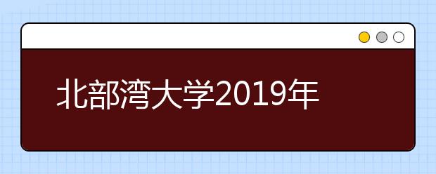 北部湾大学2019年艺术类本科分省分专业计划