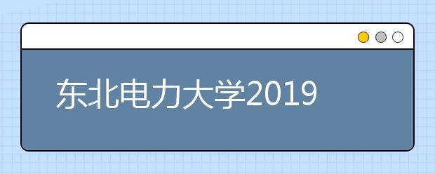 东北电力大学2019年艺术类分省招生计划