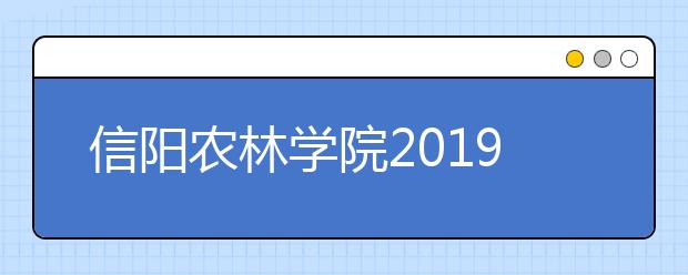 信阳农林学院2019年美术类专业录取分数线