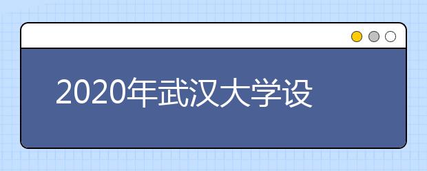 2020年武汉大学设计学类专业招生计划