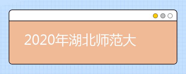 2020年湖北师范大学艺术类本科专业拟招生计划