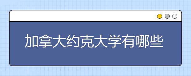 加拿大约克大学有哪些研究生专业