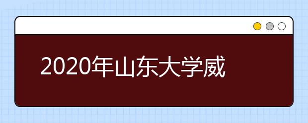 2020年<a target="_blank" href="/xuexiao41/" title="山东大学威海分校">山东大学威海分校</a>艺术类本科招生计划