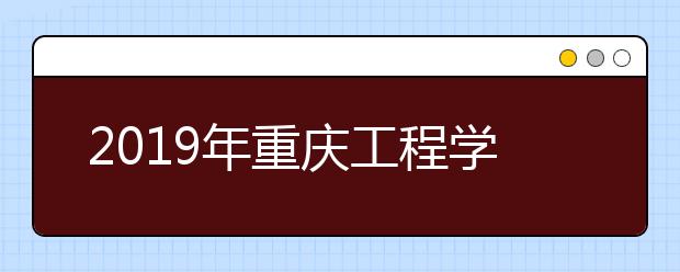 2019年重庆工程学院美术类本科专业招生计划