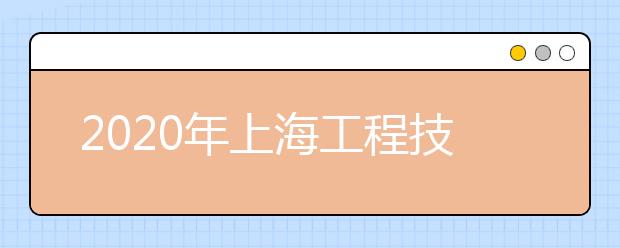 2020年上海工程技术大学艺术类本科招生计划