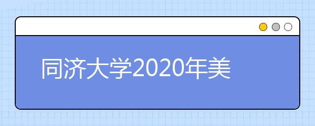 同济大学2020年美术类专业录取规则