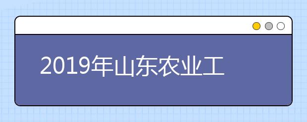 2019年山东农业工程学院山东省美术类专业录取分数线