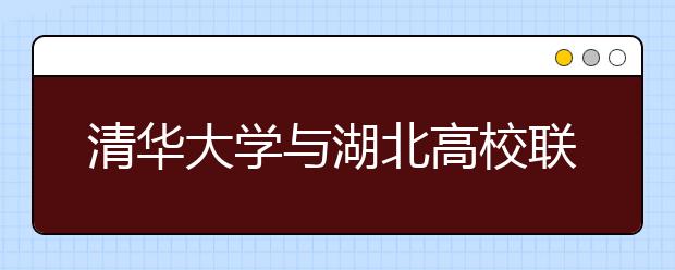 清华大学与湖北高校联合启动在线大型招聘会