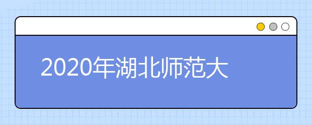 2020年湖北师范大学艺术类本科专业拟招生计划