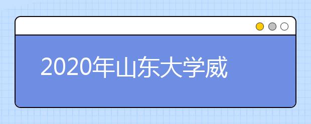 2020年<a target="_blank" href="/xuexiao41/" title="山东大学威海分校">山东大学威海分校</a>艺术类本科招生计划