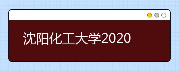 沈阳化工大学2020年艺术类招生章程