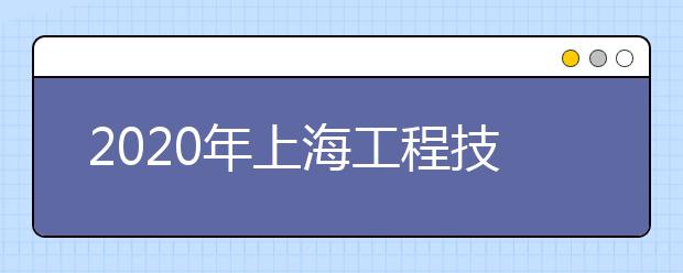 2020年上海工程技术大学艺术类本科招生计划