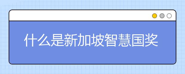 什么是新加坡智慧国奖学金