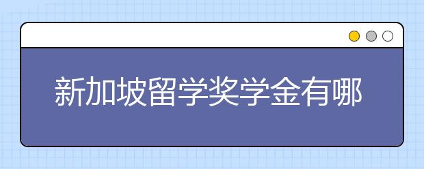 新加坡留学奖学金有哪些形式？