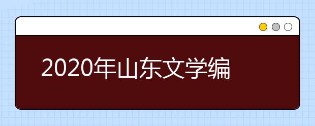 2020年山东文学编导统考一分一档表