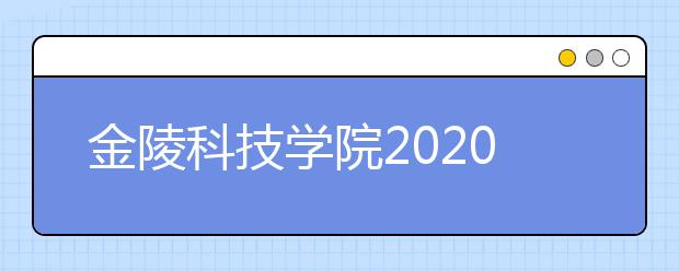 金陵科技学院2020年美术类专业录取办法