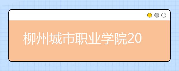 柳州城市职业学院2020年对口中职自主招生简章