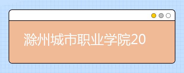 滁州城市职业学院2020分类考试招生章程