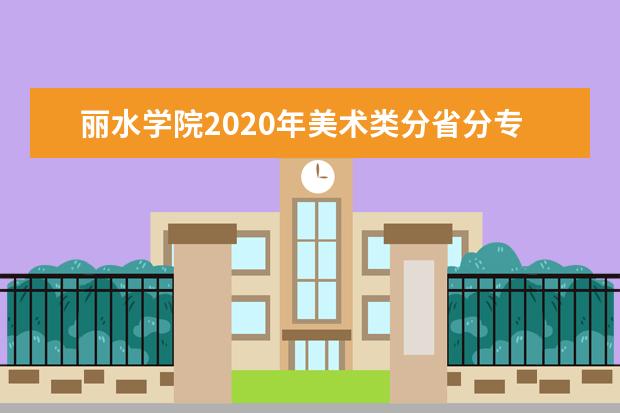 丽水学院2020年美术类分省分专业招生计划