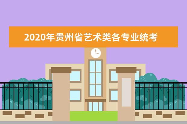 2020年贵州省艺术类各专业统考简章