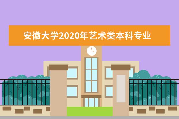 安徽大学2020年艺术类本科专业招生计划