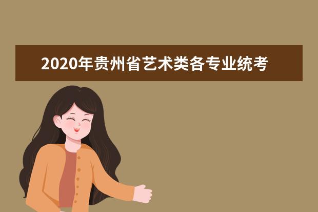 2020年贵州省艺术类各专业统考简章