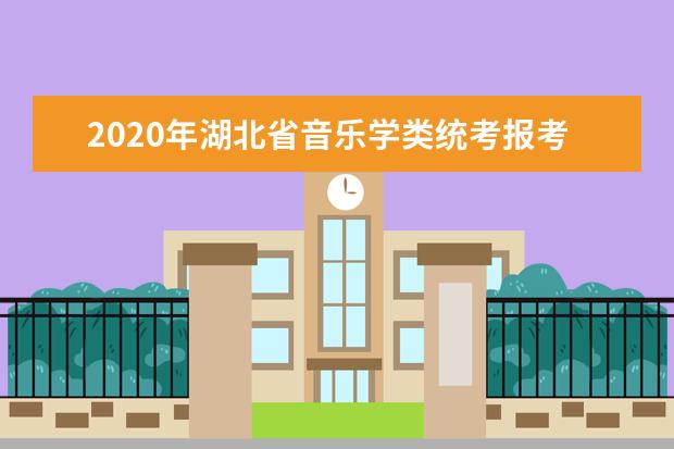 2020年湖北省音乐学类统考报考须知